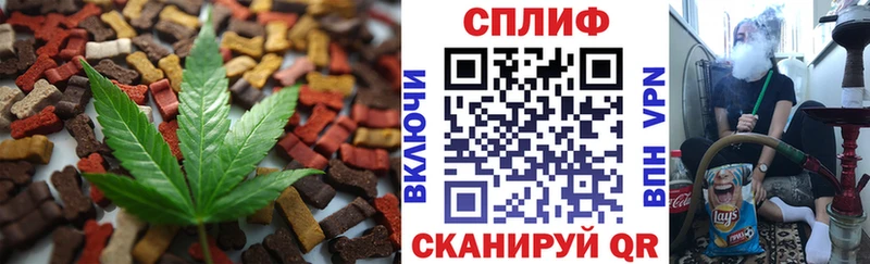 закладка  Вологда  Еда ТГК конопля 