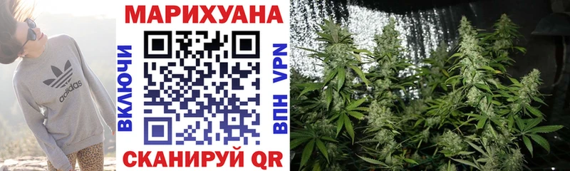 мега зеркало  Вологда  Марихуана White Widow 